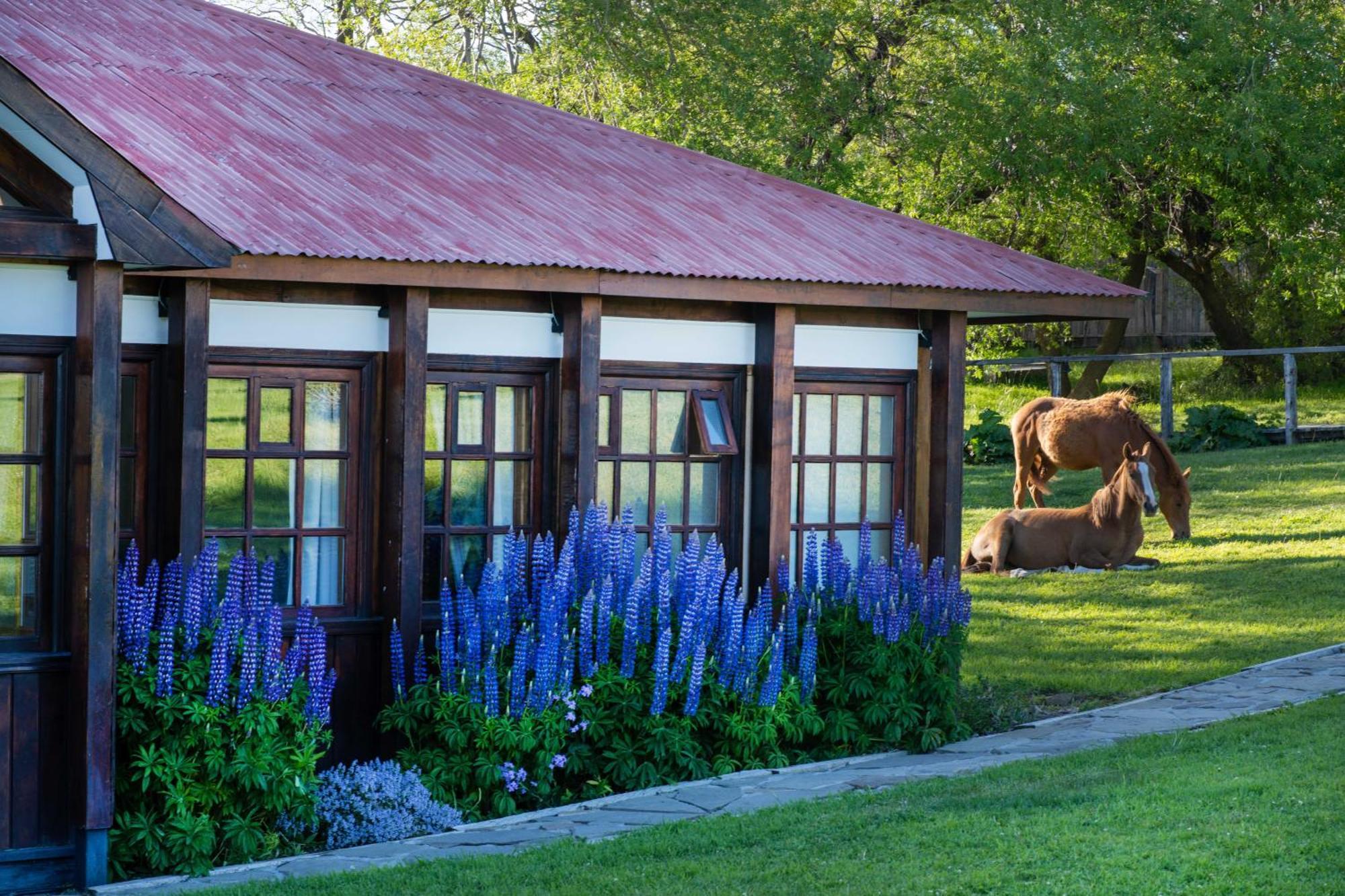 Estancia Cerro Guido Torres del Paine National Park Exterior foto
