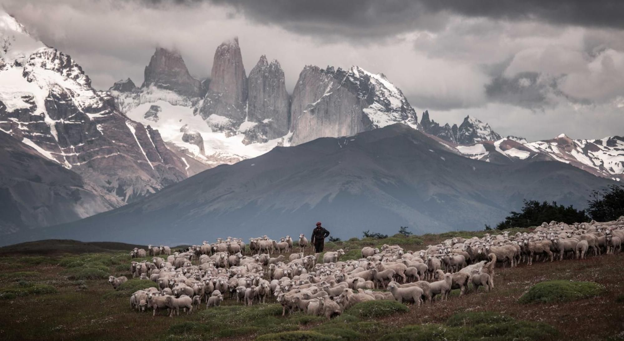 Estancia Cerro Guido Torres del Paine National Park Exterior foto